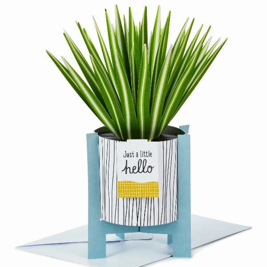 Cards & Boxed Christmas Cards * | Hallmark Spider Plant Keep Growing 3D Pop-Up Hello Card