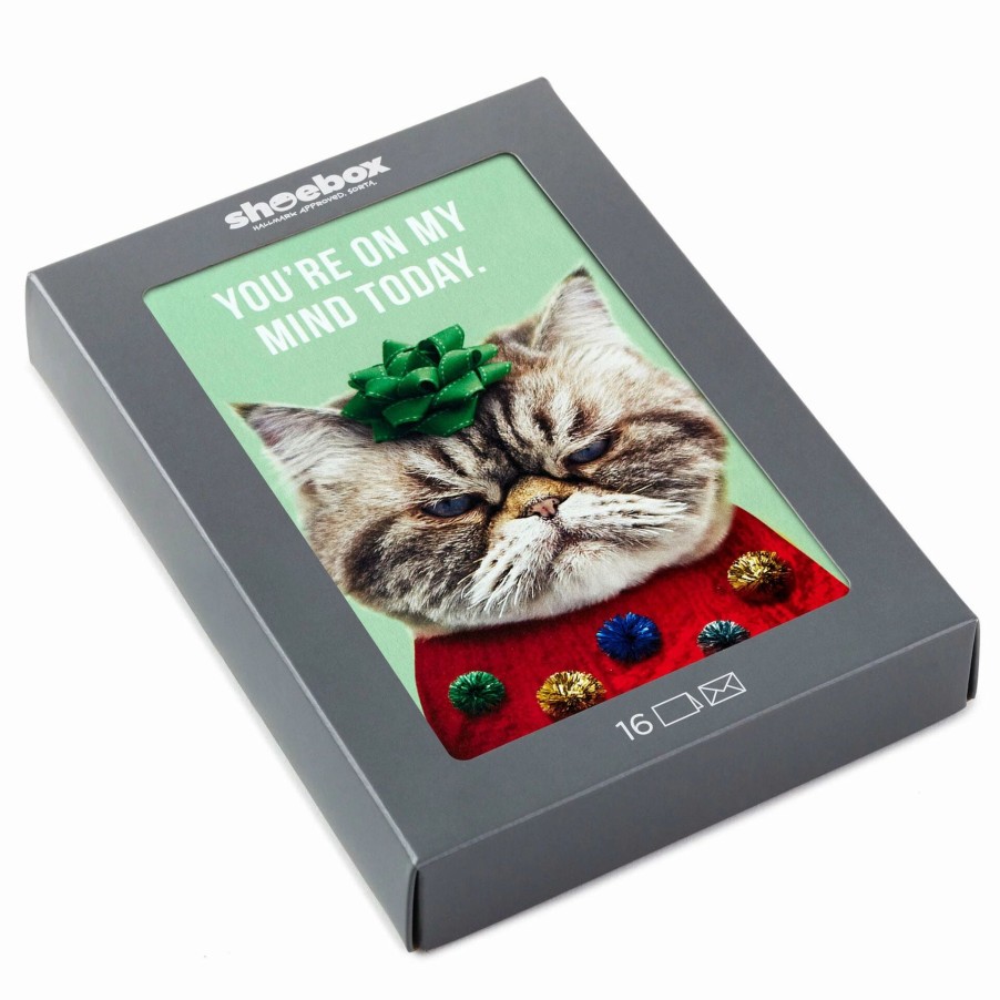 Cards & Boxed Christmas Cards * | Hallmark Kevin The Cat In Holiday Sweater Boxed Christmas Cards, Pack Of 16