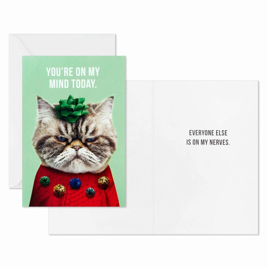 Cards & Boxed Christmas Cards * | Hallmark Kevin The Cat In Holiday Sweater Boxed Christmas Cards, Pack Of 16